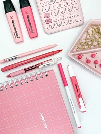 Libros, e-books, agendas, planificadores, diario de gratitud y manifestación, bullet joirnals, papelería kawaii y creativa, organizadores de escritorio, velas o lámparas para lectura, y accesorios literarios kawaii.